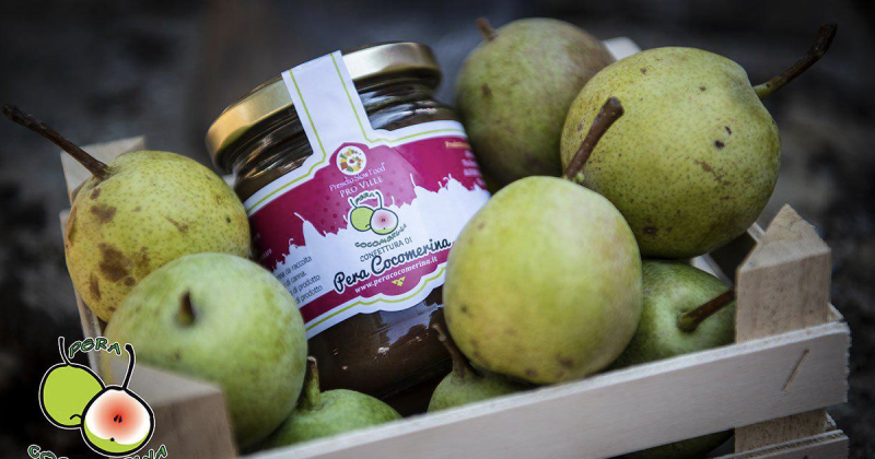 Sagra della Pera Cocomerina